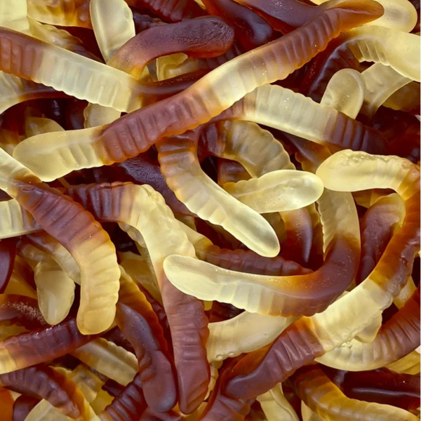 Vers lisse cola ( 100g )