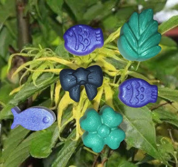 Ylang-Ylang