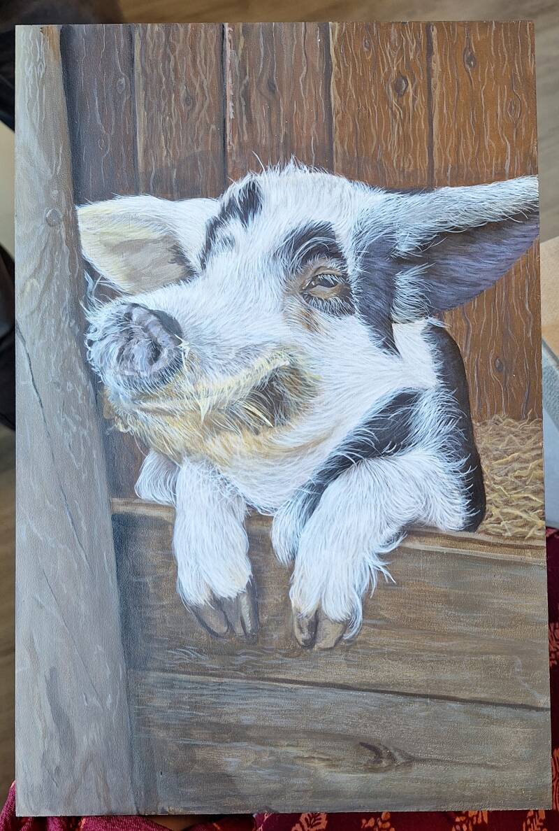 Schilderij in acryl van een varken in een stal, met zijn voorpoten over een houten lage staldeur.