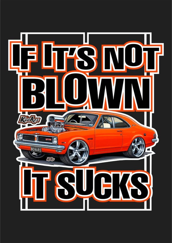 BLOWN HG MONARO
