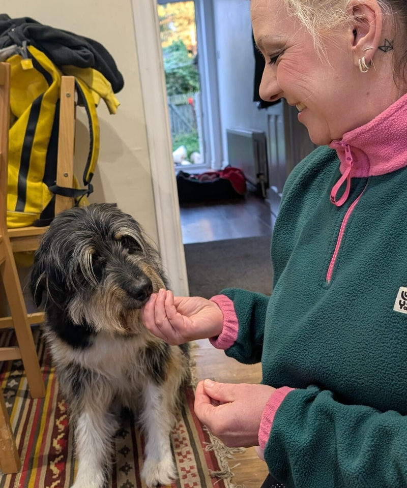 Crystal Frost training a nervous dog