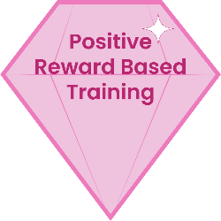 Pink crystal shame with "Positive Reward Based Training" written inside