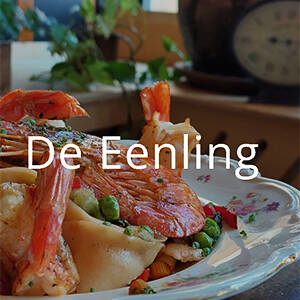 Brasserie De Eenling Schiedam menukaart