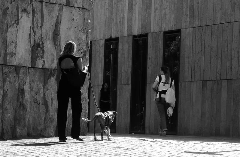 The Mothers of Creation – Dog's Lady – Beauty from Behind – A Munich Street Scene BW