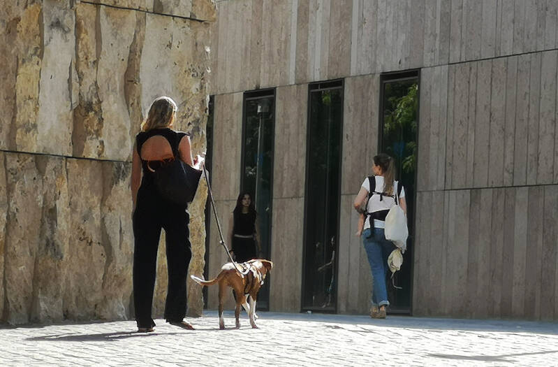 The Mothers of Creation – Dog's Lady – Beauty from Behind – A Munich Street Scene