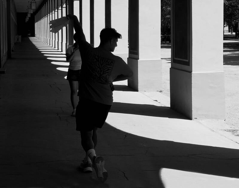 Hofgarten Dancer BW