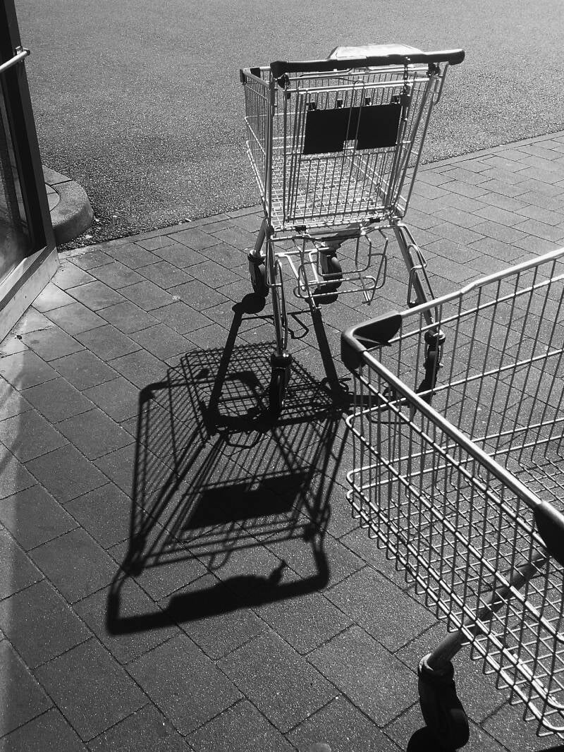 Le chariot et son ombre BN