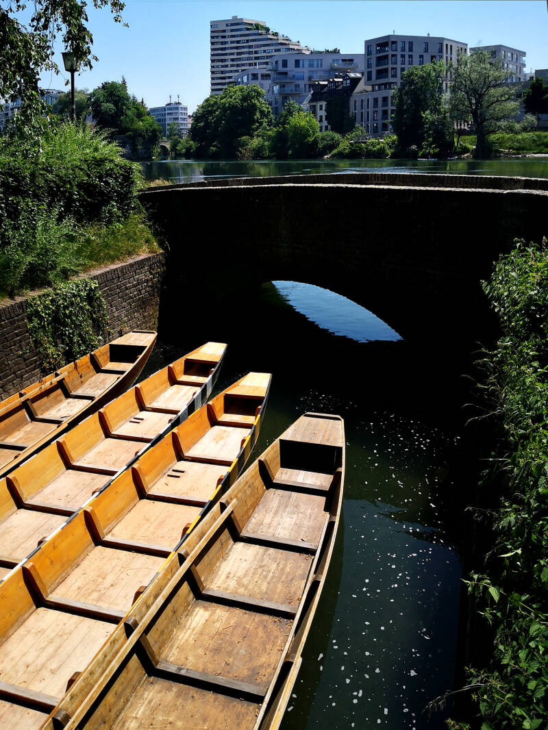 Zillen mit Donaucenter im Hintergrund