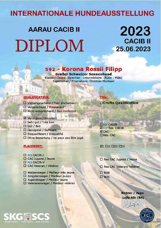 aarau-swiss-dogshow-2023-1-standard.jpg