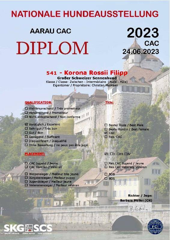 aarau-swiss-dogshow-2023-2-standard.jpg