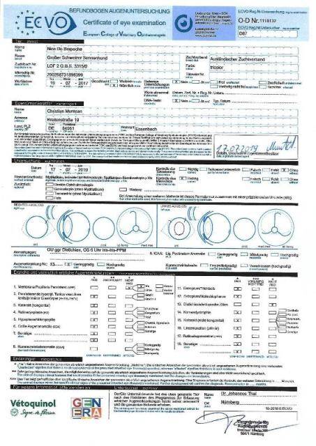 aaugenuntersuchung-17-07-2019-nico-standard.jpg