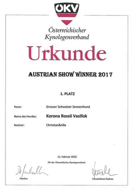 austrian-show-winner-2017-standard-clei5e.jpg