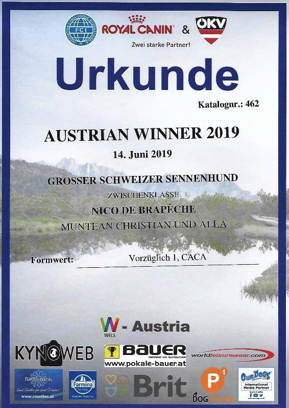 austrian-winner-2019-standard.jpg