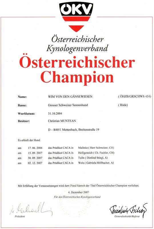 champion-austrian-standard.jpg