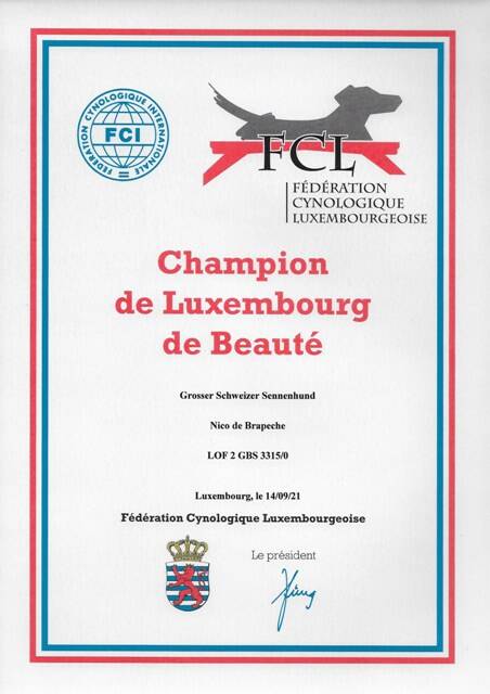 champion-de-luxembourg-standard.jpg