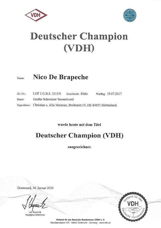 deutscher-champion-vdh-standard.jpg