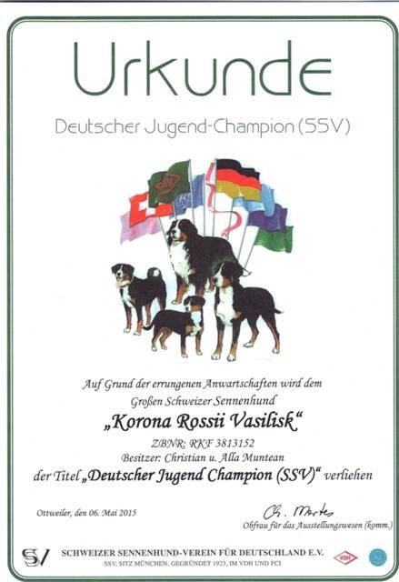 deutscher-jugenchampion-ssv-1-standard-w7if6z.jpg