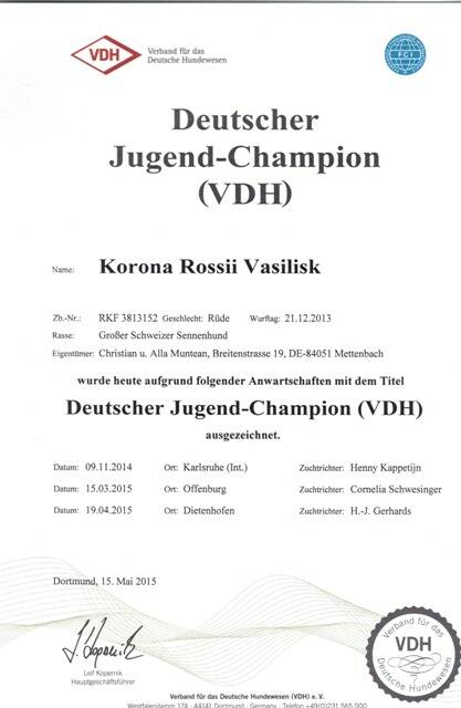 dt-jug-champion-vdh-1-standard-kwdj62.jpg