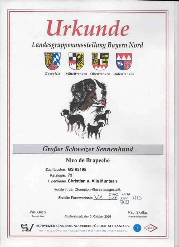 lg-schau-bayern-nord-2020-bis-standard.jpg