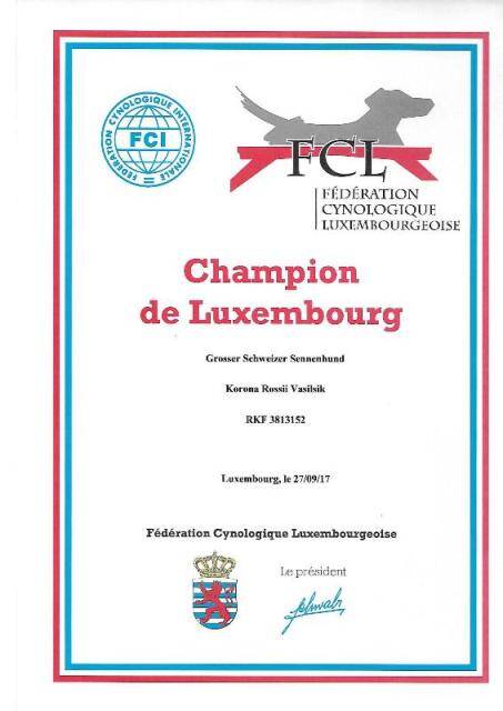 luxemburg-champion-standard-y9wu2e.jpg