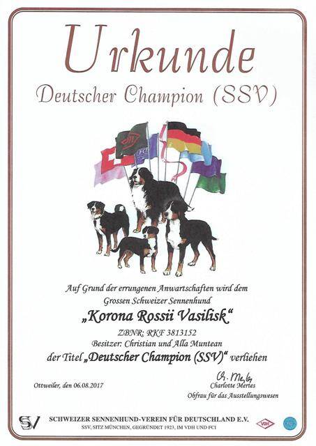 ssv-champion-standard-5cixbj.jpg