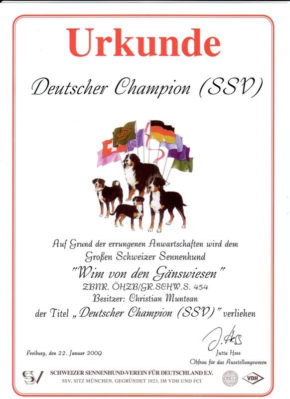 ssv-championo-standard.jpg