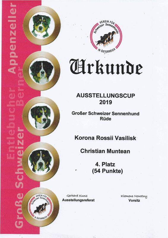 vss-ausstellungscup-2019-vasi-standard-51gcfj.jpg