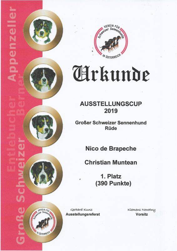 vss-ausstellungscup-sieger-2019-nico-standard.jpg