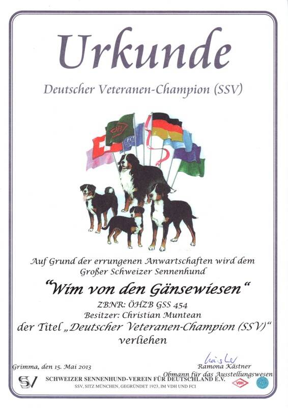 wim-ssv-vet-champion-standard.jpg