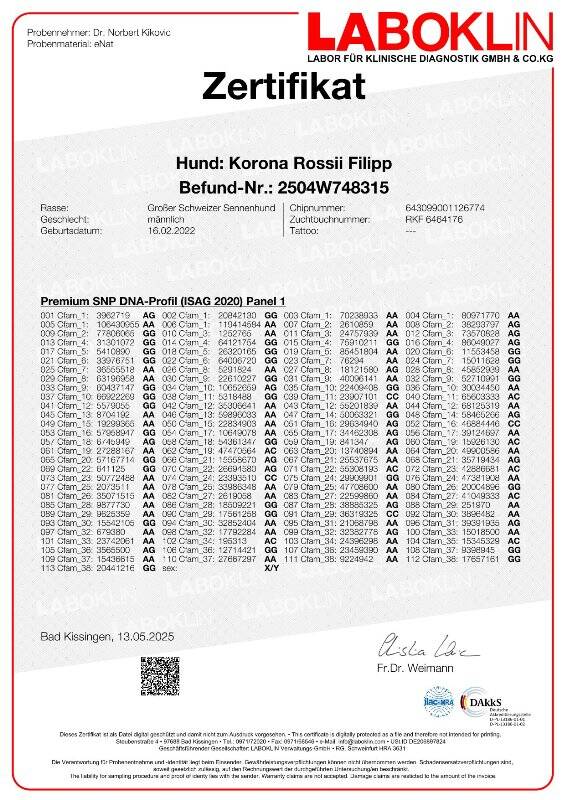zertifikat-dna-fil-2025-1-1-standard.jpg