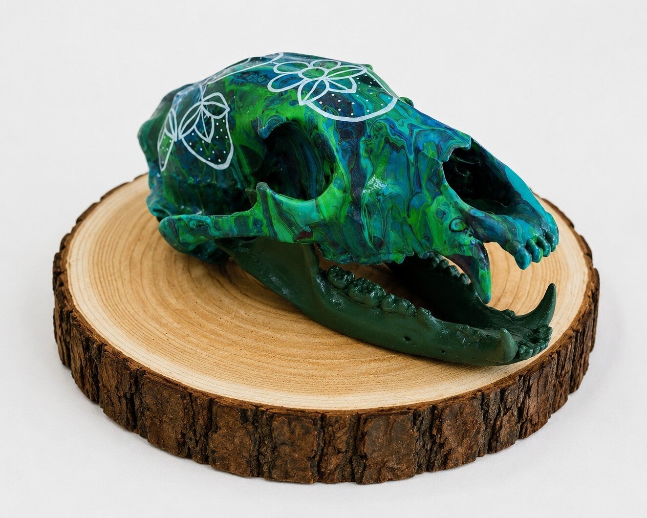 Hand-painted real American Black Bear Skull