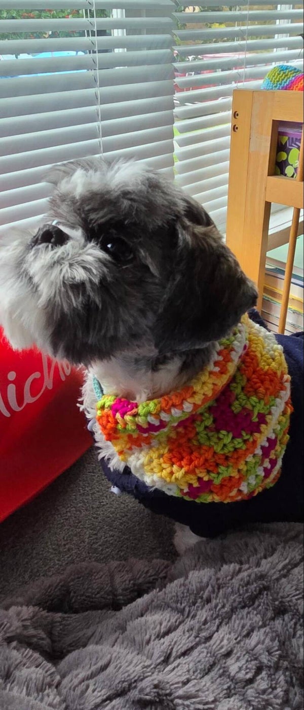 Furry friend bandanas