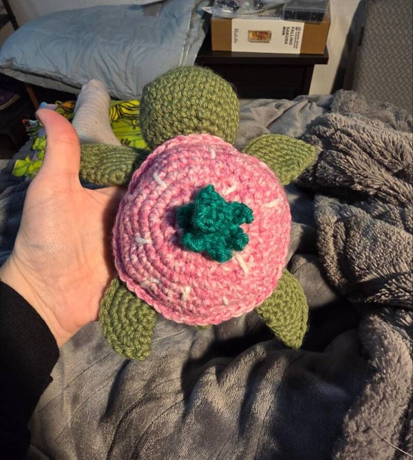 Strawberry Turtle