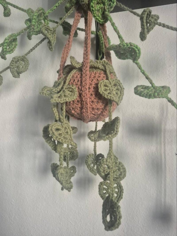 Potted hanging plant