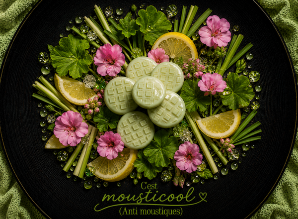 Fondant Musticool ( Anti moustique