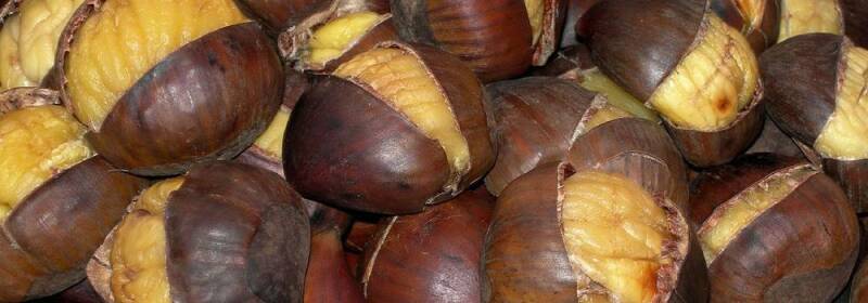 De wintermaanden in Málaga