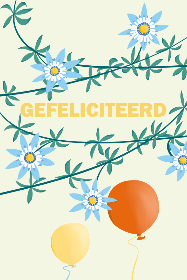 Kaartje Gefeliciteerd met ballon