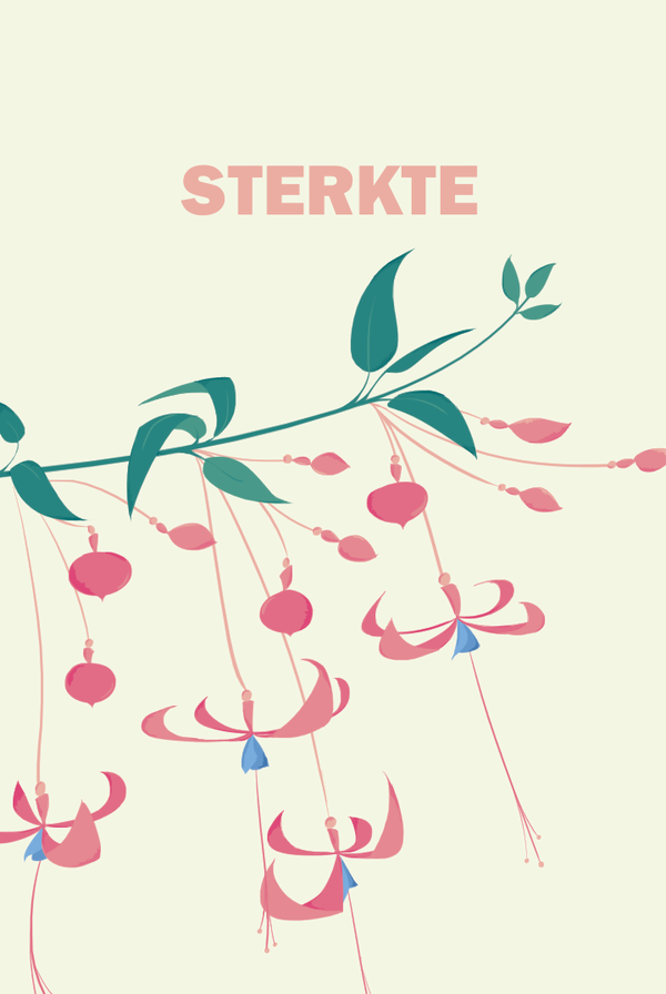 Kaartje Sterkte