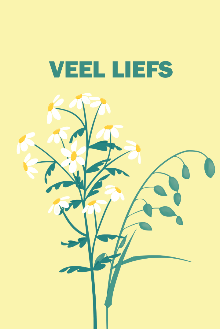 Kaartje Veel liefs