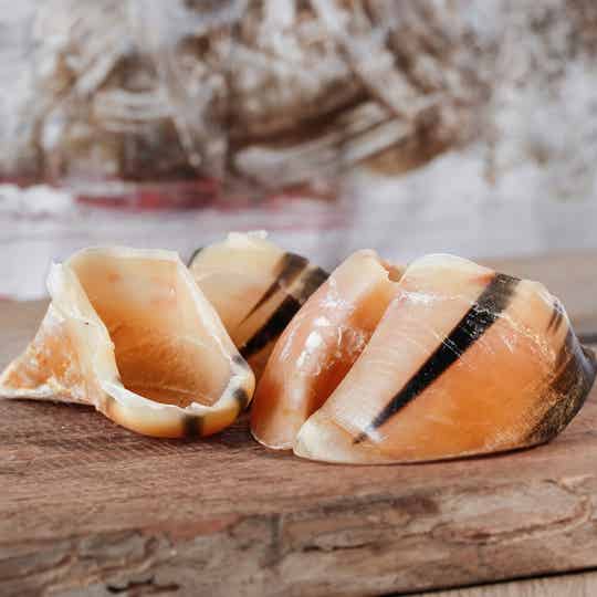 BARFGOLD Kalfshoefjes, 250 gram