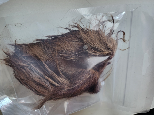 Runderoor met haar. Per stuk.