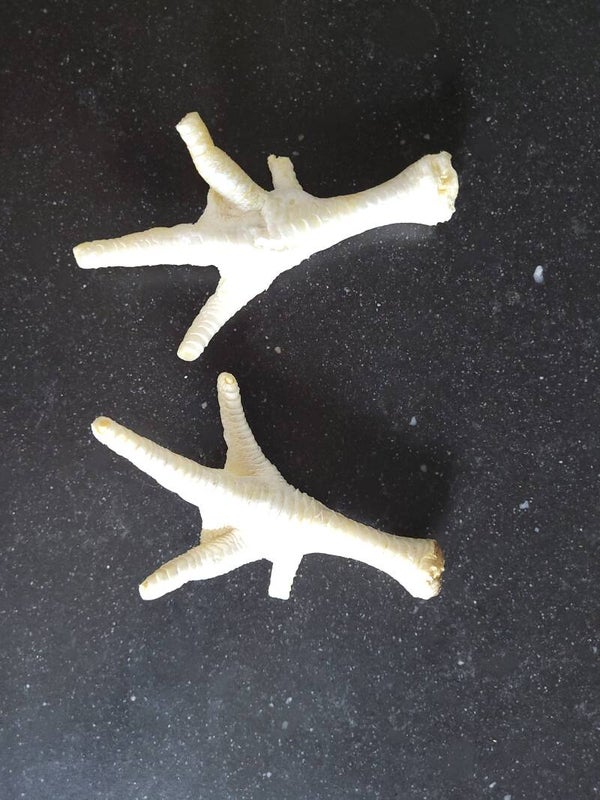 Kippenpoot wit, 150 gram