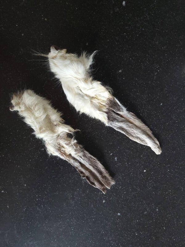 Konijnenoren met haar 100 gram