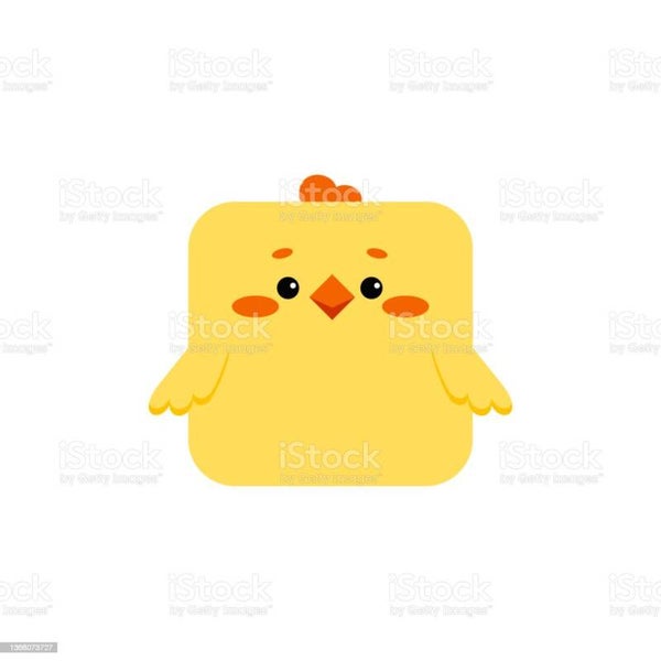 Cat's Gemalen ééndagskuiken Haan.