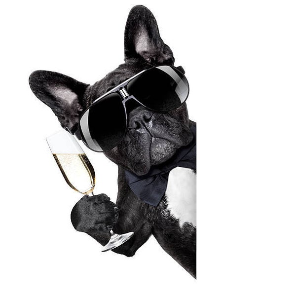 Dogmeat  5 Dieren Deluxe