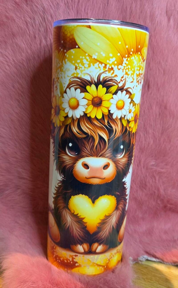 Hooglander zonnebloem