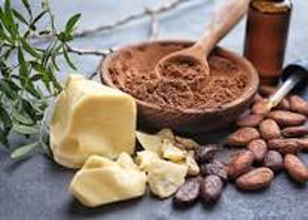 Cocoa Shea Body Butter