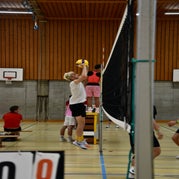 dsc_0713-standard.jpg