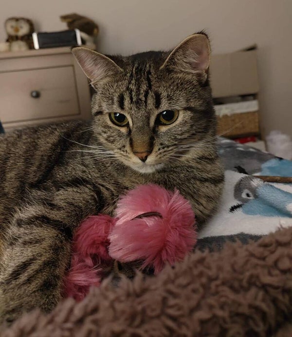 AIKA a rejoint sa famille le 15 novembre 2025