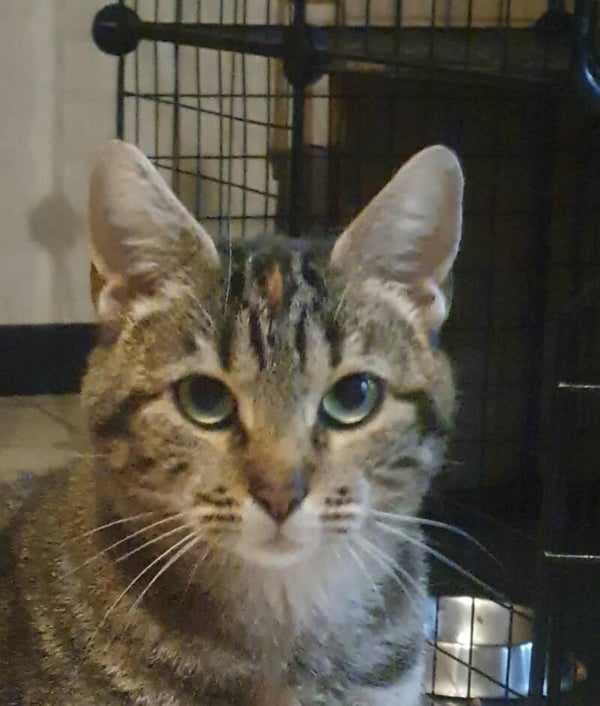 AKIEa rejoint sa famille le 5 décembre 2025